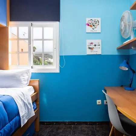 Live Icod Buen Paso Icod De Los Vinos