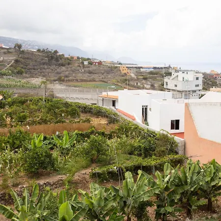 Live Icod Buen Paso Appartement Icod De Los Vinos