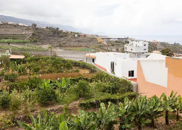 Live Icod Buen Paso Daire Icod De Los Vinos